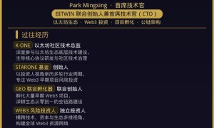 BITWIN 明星高管阵容亮相 云链正式发布生态白皮书