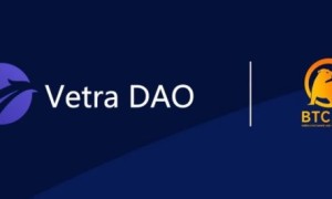 VetraDAO 正式与 BTC.SO 在 WEB3.0 量化合作及流动性补充的合作