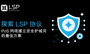 探索 LSP 协议：PoS 网络建立安全护城河的最佳方案