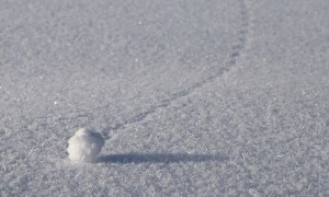 我买的雪球敲入了，300万灰飞烟灭